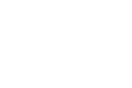 Vision 2030 Logo